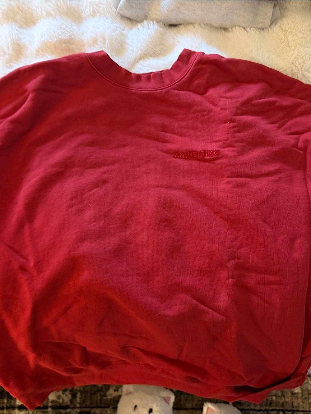 Anine Bing Men's Scarlet Red Crewneck Sweatshirt